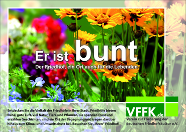 Ein Bild