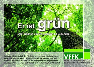 Ein Bild