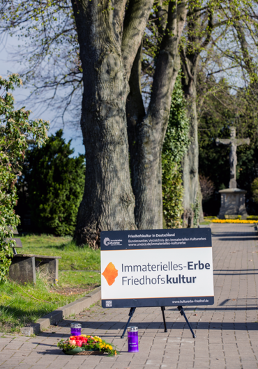 Ein Bild