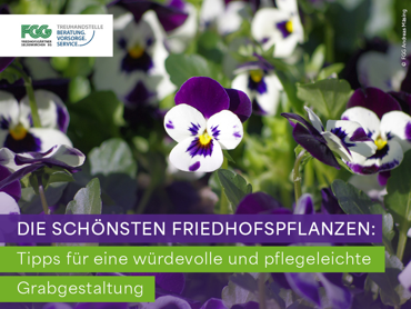 Ein Bild