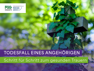 Ein Bild