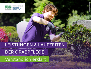 Ein Bild