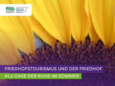 Ein Bild