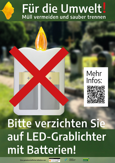 Ein Bild